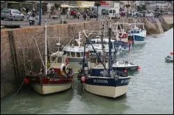 Quelle rgion a pour blason un cu rouge  deux lopards jaunes ?