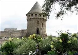 Dans quelle ville peut-on admirer la tour Tanguy ?