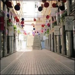 Quel noms portent ces immeubles lyonnais abritant d'anciens appartements- ateliers de tisserands ?