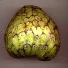 Voici les fruits exotiques, avec :