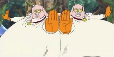 Sur Skypia, Kotori et Hotori sont les frères d'une ordalie, appartenant au clan d'Ener. Laquelle est-ce ?