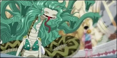 Boa Sandersonia a mangé le fruit du démon 'Hebi Hebi No Mi / Fruit de l'Ophidé - Version Anaconda'. Mais à quelle catégorie appartient ce fruit ?