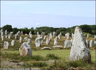 Dans quelle commune se trouve ces menhirs alignés ?