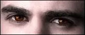 A qui appartiennent ces yeux ?
