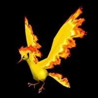 Quel est ce Pokmon ?