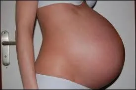 Combien avait-il d'enfant(s) avec Vanessa Paradis en 2011 ?