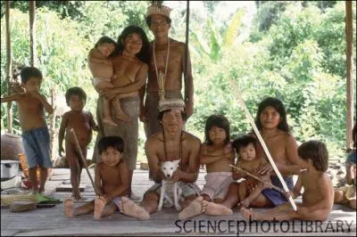 Les Jivaros sont célèbres pour leur pratique des têtes réduites. Où vivent-ils ?