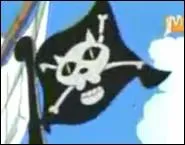 A qui appartient ce drapeau ?