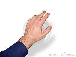 Organe prhensile, la main de l'homme est compose de combien d'os ?