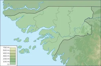 Quel pays d'Afrique de l'Ouest a une altitude maximale de 300m ?