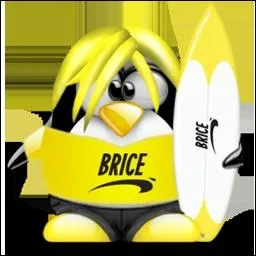 Que reprsente ce tux ?