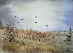 Qui chantait 'un vol de perdreaux par dessus les champs... ' ?