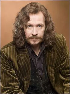 Pour Harry Potter, qui est Sirius Black ?