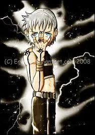 Quel gouvernement l'a utilis ?