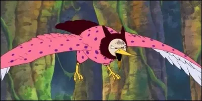 Pierre, le fidèle compagnon de Gan Forr, a mangé un fruit du démon.