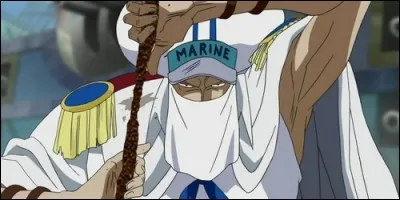 Shû est un colonel de la Marine que l'on voit à Enies Lobby. Mais qui affronte-t-il lors de l'attaque du Buster Call ?