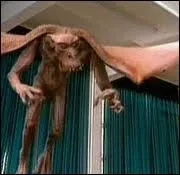 Qu'est ce que c'est ?