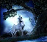 Qu'est-ce que c'est ?