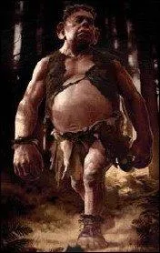 Qu'est-ce que c'est ?