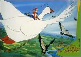 Qui voyage sur le dos d'une oie sauvage ?