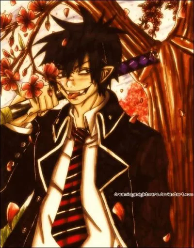 Je suis le fils de Satan. Au lieu de mourir , j'ai choisi de vivre pour tuer mon pre Satan. Je suis Okumura Rin.