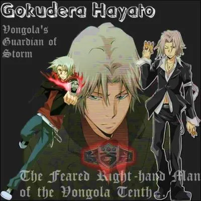 Je suis le gardien de la tempte du Vongola Decimo. Je suis Gokudera Hayato.