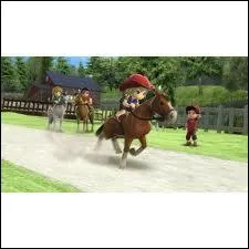 Combien y a-t-il de vignettes dans la station de montagne ?