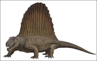 Le Dimetrodon est-il un dinosaure ?