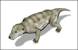 Le thrinaxodon est-il un reptile ?