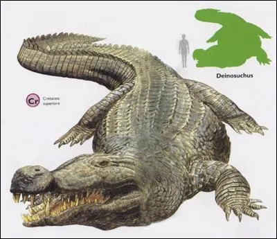 Le Deinosuchus a-t-il survcu  l'extinction ?