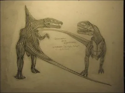 Quel prdateur tait le plus gros ?