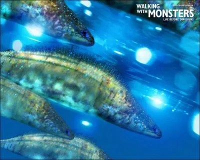 Quel tait le premier vertbr ?