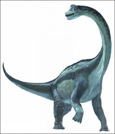 En quoi le Brachiosaurus a-t-il volu ?