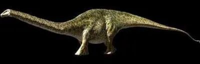 Le plus grand dinosaure ?