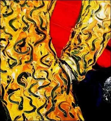 Qu'est-ce qu'un 'habit de lumire' ?