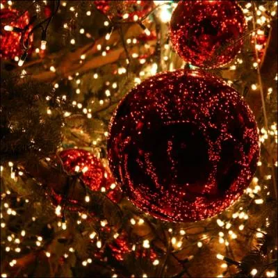 A quelle occasion les maisons et les rues se parent-elles de lumires tincelantes ?