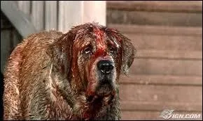 Enorme Saint-Bernard de 120 kg mais aussi le meilleur ami de Brett, le petit garon de 10 ans de la famille Camber. Jusqu'au jour o le chien tombe dans une caverne infeste de chauves-souris :