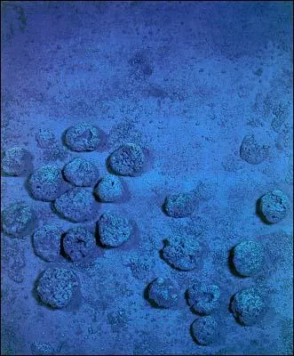 Comment nomme-t-on en peinture ce genre de tableau, ralis ici par Yves Klein ?