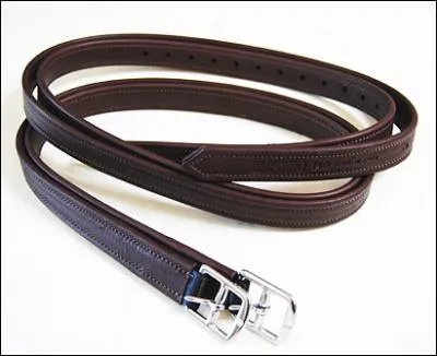 Comment s'appelle ce harnachement ?