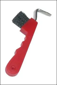 Comment s'appelle cette brosse ?