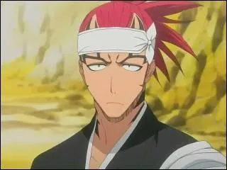 Quel est le Zanpakuto de ce vice-capitaine ?