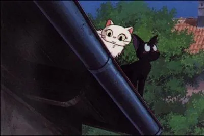 Quel est le nom de la chatte blanche  gauche ?