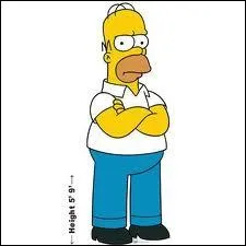 Homer dteste aller...