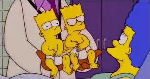Quand bart apprend qu'il a un frre siamois, Bart est...