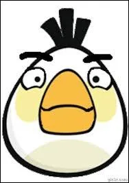 Et pour finir, un peu de culture sur le jeu : Comment s'appelle l'oiseau blanc ?