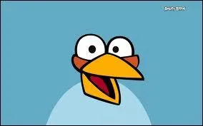 Quelle est la particularit de cet oiseau, nomm Blue ?