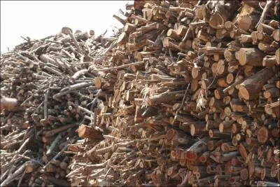 Que reprsente cette image ?