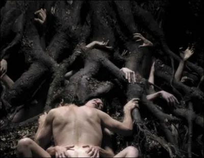 Des corps emmls, une sacr claque  Cannes, un ralisateur  dogme...