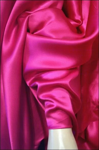 Autre spcilait reconnue de la ville de Lyon.