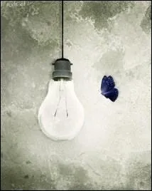 En 1993, quelle chanteuse entrait 'dans la lumire comme un insecte fou' ?